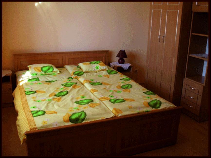 Erika Vendeghaz Hotel บุค ห้อง รูปภาพ